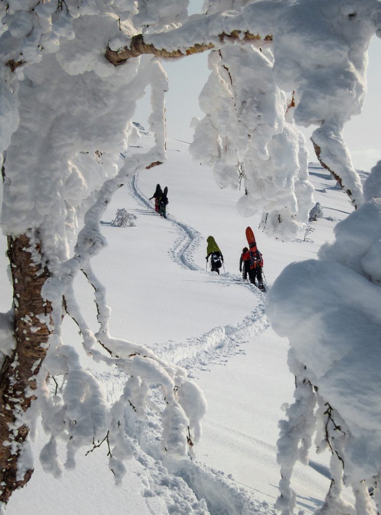 Earning Turns – Hokkaido, Japan